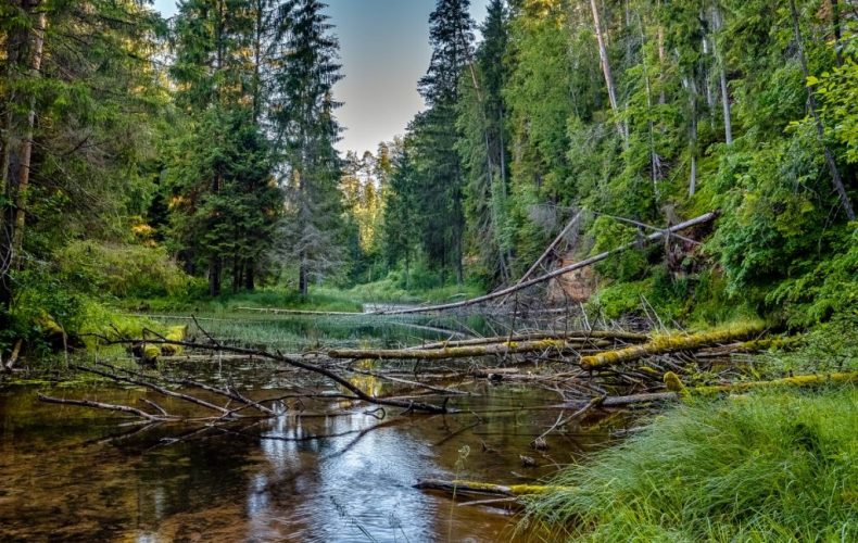 Cīrulīšu dabas takas