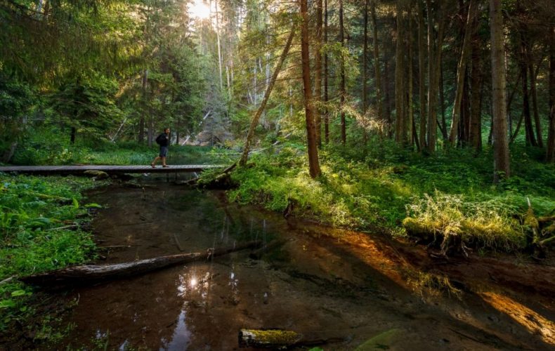 Cīrulīšu-dabas-takas1