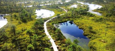 Didžiojo Kemerų mauraus pėsčiųjų tiltas