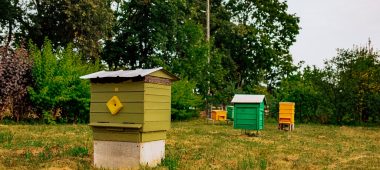 Latvijos bitininkystės istorijos muziejus