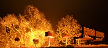 Grobinos rajono akmenų istorijos