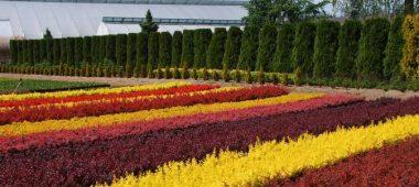 Strenčių vaikų darželis