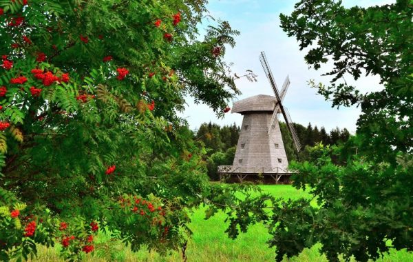 Vecpiebalga-vēveri-768x509