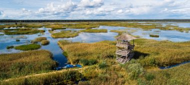 Sedas Purvs gamtos rezervatas