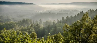 Kaizerio kėdė ir Kaizerio vaizdas
