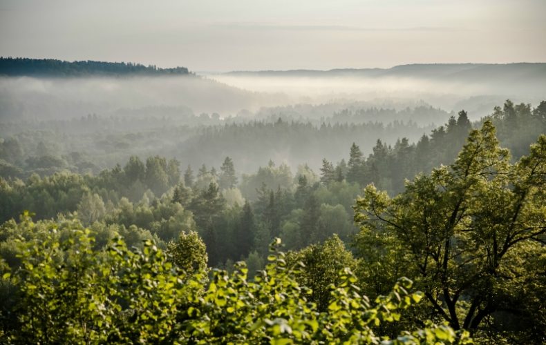 sigulda-ķeizarkrēsls