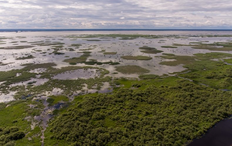 Lubāna-mitrājs6