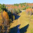 vasargelisku_skatu_tornis-2
