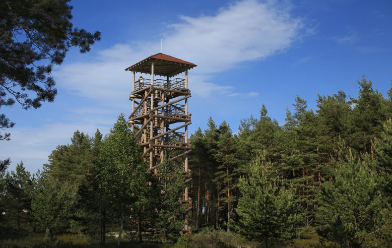 Dundaga-tornis