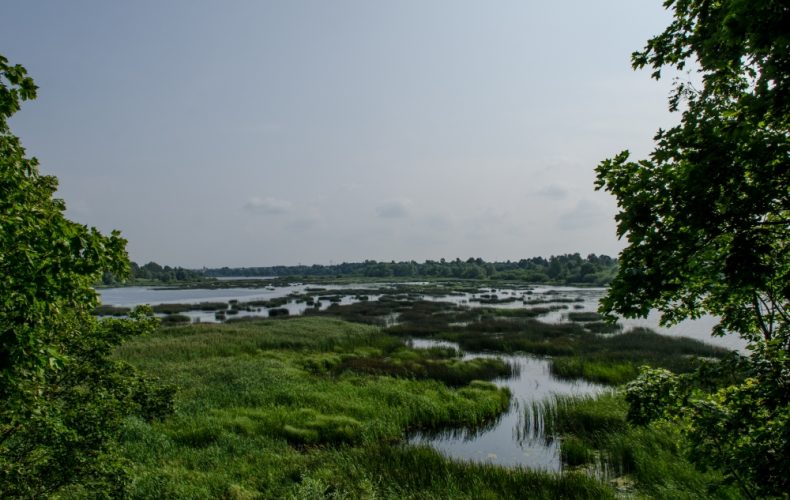 Salaspils-Doles sala1