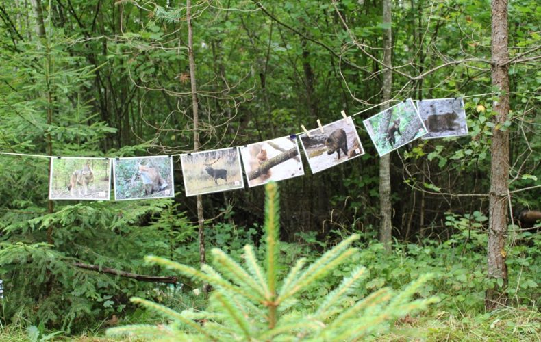 Tērvetes-dabas-parks4