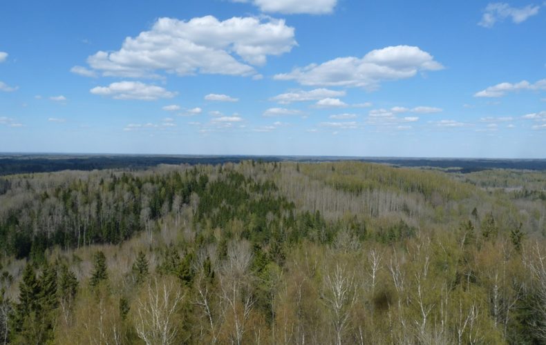 RēzekneSkats-no-Liela-Liepukalna_R.Indrike