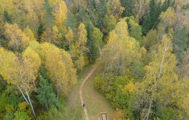 Rēzekneno-skatu-torna-LLiepukalna-raugoties_-R.I.
