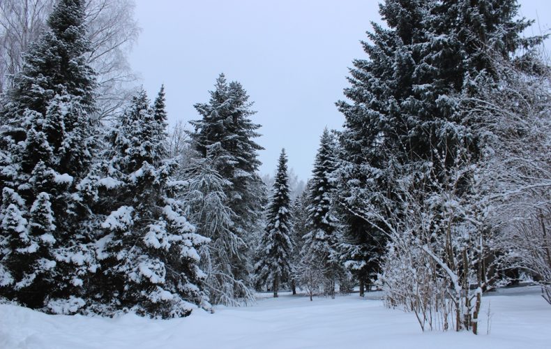 Lēdurgas-dendroparks1