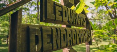 Ledurgos dendroparkas