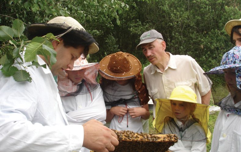 Saldus-bisu-drava-kāres