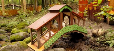 Triušių karalystė / Ledmanės poilsio gamtos parkas