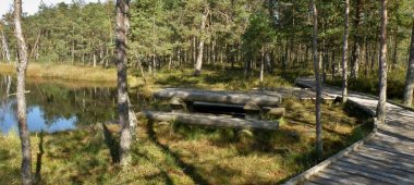 Kalnansi pelkės takas