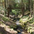 Auce-karaļa avoti2