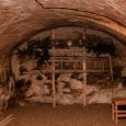IMG_0050
