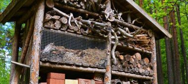 Gamtos takas „Lustindruva”