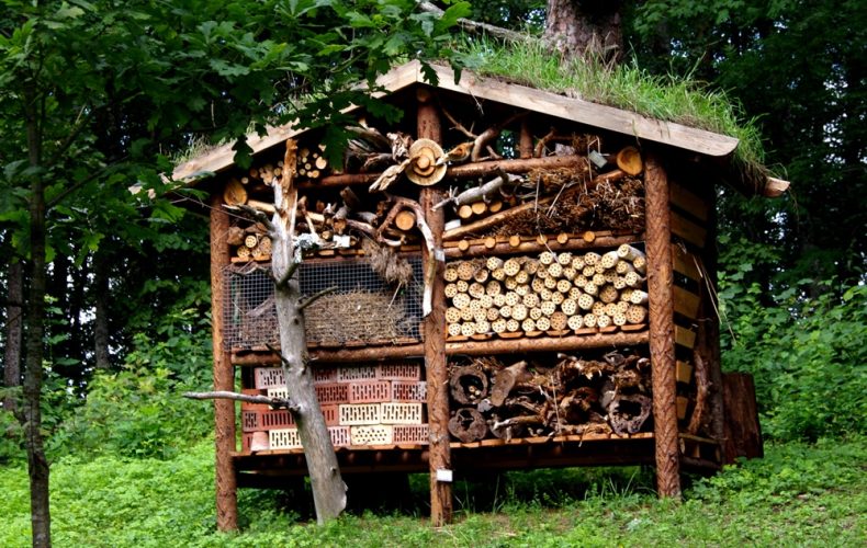 Valka-lustindruva1