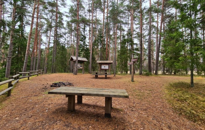 daugenu-dabas-taka-visit-valmiera-5