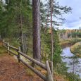 daugenu-dabas-taka-visit-valmiera-7