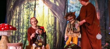 „Pelenės svajonė”