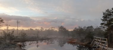 Niedrāju – Pilkos pelkės pažintinis takas