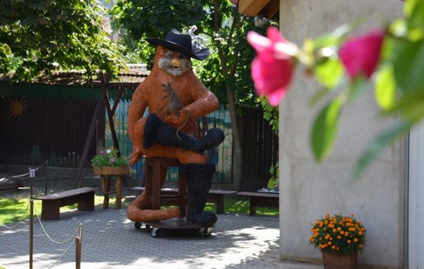 ????????????????????????????????????