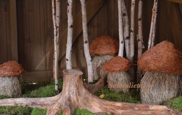 ????????????????????????????????????