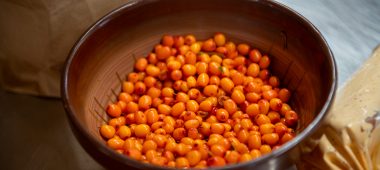 „AmberFarm“ šaltalankių medelynas