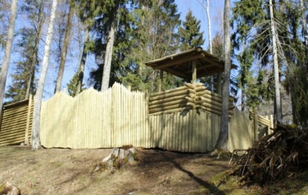 jaunpils-kartavkalns-pilskalns-dabas-taka1