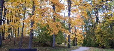 Žaidimas – žygis „Preiļi Park Beech Tree Trail”