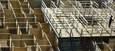 Labirintas „Minotauras”