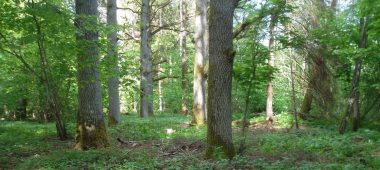 Gamtinis rezervatas „Ukru gārša”