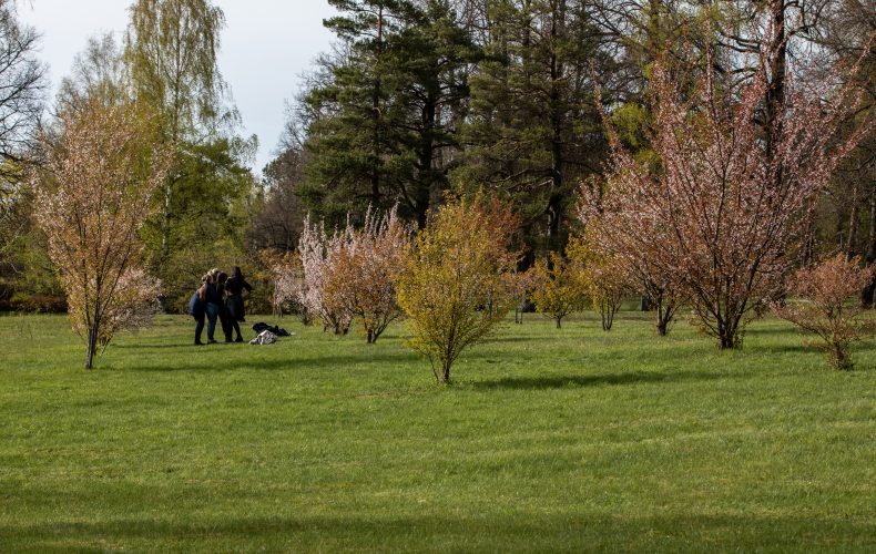 Rūjiena-Ternejas parks (2)