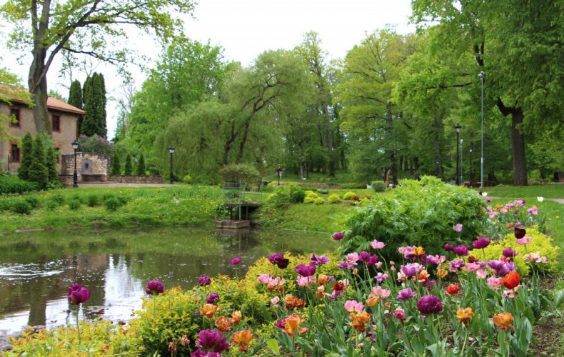 Kokneses parks_1