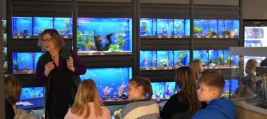 Edukacinės ekskursijos vaikams apie naminių gyvūnų pasaulį!