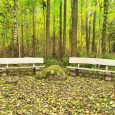 Emzes parks (3)