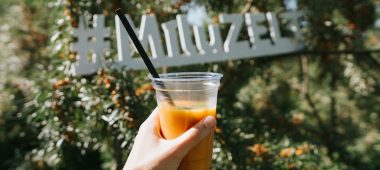 Pažintinis ir skanus nuotykis šaltalankių sode