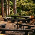 Dabas parks Laukezers (2)