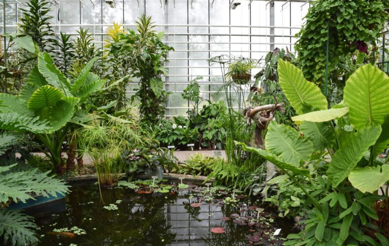 Botaniskais_darzs_015