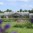 Botaniskais_darzs_017