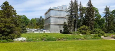 Latvijos universiteto botanikos sodas