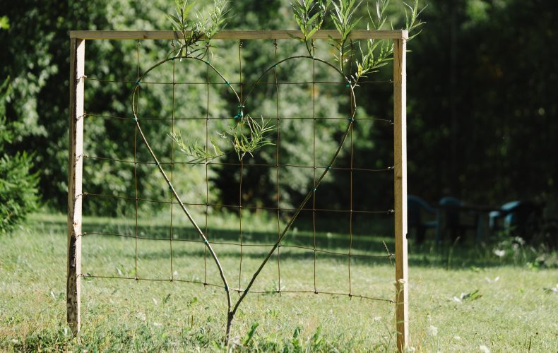 Meža-dizaina-dārzs