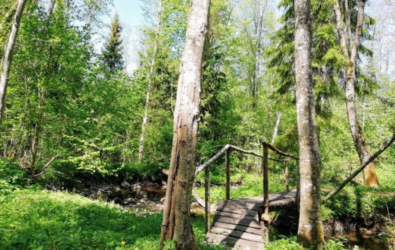 Akmeņupe1
