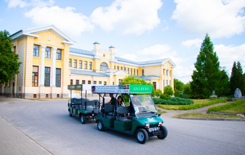 Elektrovilcieniņš