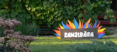 Aktyvios komandos formavimo programos Zanzibare